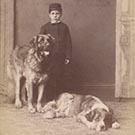 Unidentified sitter with dogs